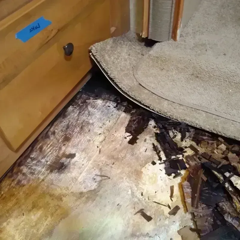 Wood Floor Water Damage in Brook Highland, AL